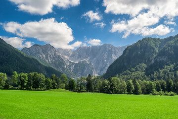 Idyllic green valley with Kamnik-Savinja Alps at background