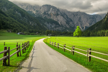 Idyllic scene with a rural road in the Alpine landscape, Logar Valley, Slovenia © Mazur Travel