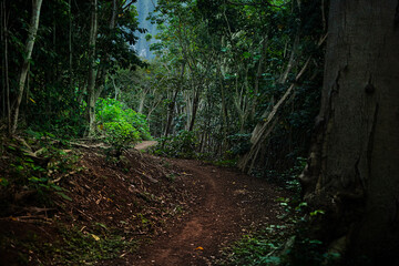 Ancient Caldera Floor