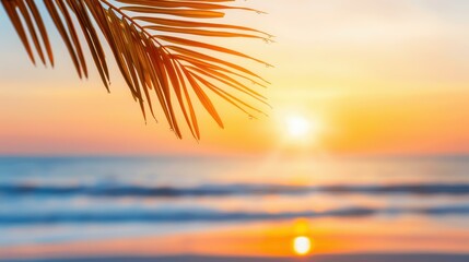 Experience paradise at a serene beach with palm leaves, gentle waves, and warm sunlight glimmering on the ocean.
