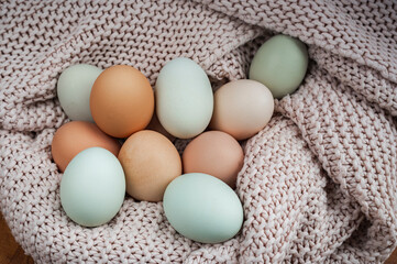 A nest of hues: Eggs in pastel shades nestled in a cozy knit blanket, a gentle reminder of nature's simple beauty and warmth.