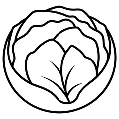 Brussels Sprout Vector Illustration - Cartoons, Clipart, Line Art Design, Brussels sprout vector illustration, cartoon, clipart, and line art design with white background