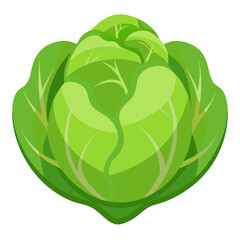 Brussels Sprout Vector Illustration - Cartoons, Clipart, Line Art Design, Brussels sprout vector illustration, cartoon, clipart, and line art design with white background