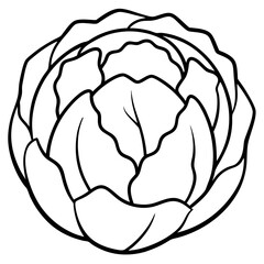 Brussels Sprout Vector Illustration - Cartoons, Clipart, Line Art Design, Brussels sprout vector illustration, cartoon, clipart, and line art design with white background