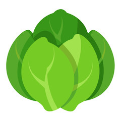 Brussels Sprout Vector Illustration - Cartoons, Clipart, Line Art Design, Brussels sprout vector illustration, cartoon, clipart, and line art design with white background