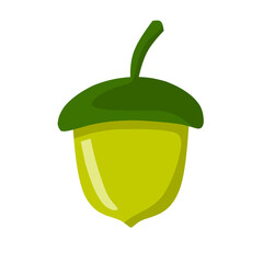 Detailed Acorn Nut Vector Illustration Design