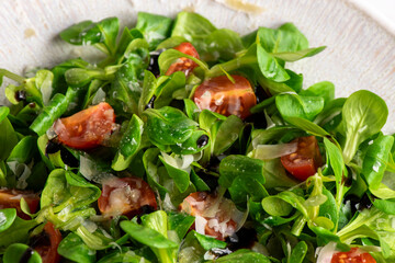 Green lettuce salad