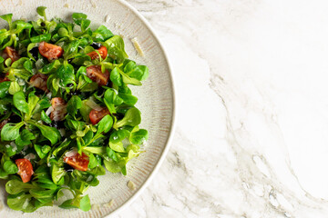Green lettuce salad