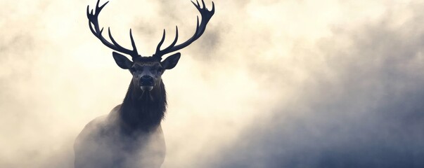 A majestic elk standing proudly against a foggy atmospheric backdrop