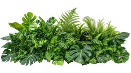 Lush Greenery Arrangement with Tropical Leaves and Ferns