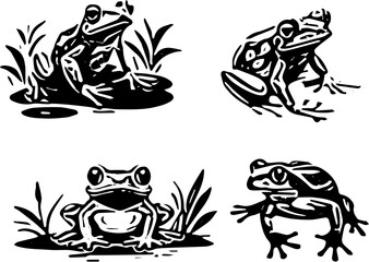 frog sitting on a leaf