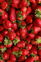 Close-up of many large, ripe strawberries showcasing their vibrant red color and smooth texture