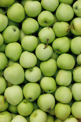 Many green apples arranged together, emphasizing their bright color and fresh, juicy texture