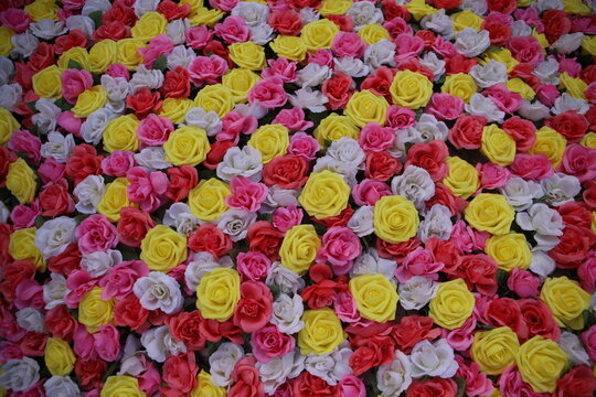 Bed of Roses