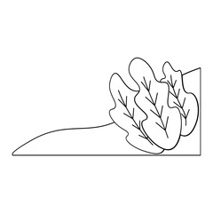 leaf frame border outline ellements