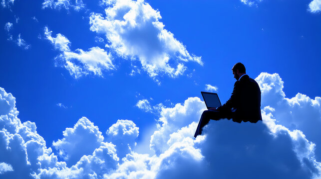Silhouette businessman with laptop on a sky-high field, a concept of work freedom
