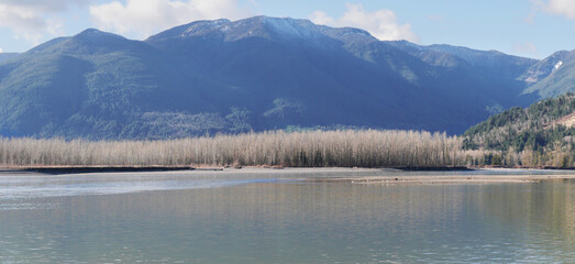 Panorama of the Fraser River at Island 22 Regional Park during a winter season in Chilliwack, British Columbia, Canada