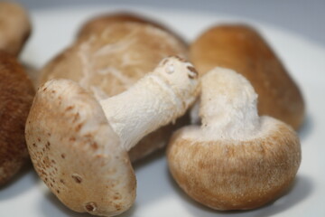 フレッシュなしいたけ