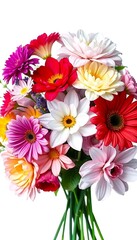 Obraz premium Floral Arrangement Colorful Blooms A Harmonious Blend Isolate