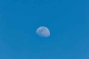 青空に浮き上がる半月

