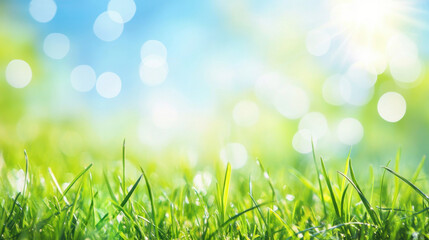 Obraz premium Lush Green Grass with Sunlight and Bokeh Background in Nature Scene
