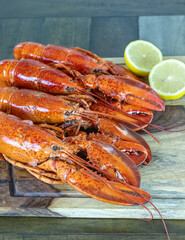 Four whole lobsters from Maine on wood cutting board