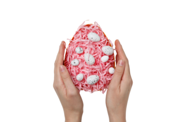 PNG, Easter, egg formed from paper shavings with quail eggs, with hands, isolated on white background