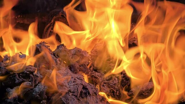 close-up of flames in the dark. blazing fire on a black background