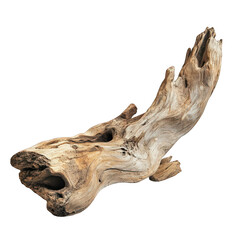 Driftwood isolated on white background