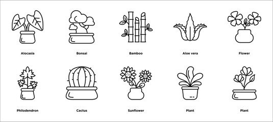 flower concept icon illustration contain Alocasia,bonsai ,Bamboo ,aloe vera ,flower,Philodendron ,cactus ,Sunflower,plant and flower   © BAMBANG G