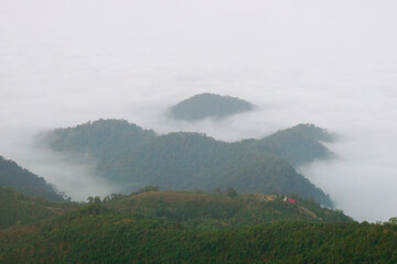 misty mountain hills landscape