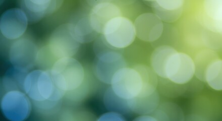 Obraz premium Lush Forest Bokeh Effect