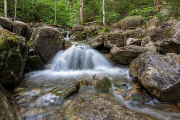 Mount Zeeland Trail in the White Mountains, New Hampshire