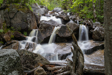 Mount Zeeland Trail in the White Mountains, New Hampshire
