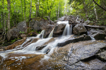 Fototapeta premium Mount Zeeland Trail in the White Mountains, New Hampshire