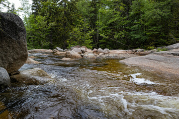 Mount Zeeland Trail in the White Mountains, New Hampshire