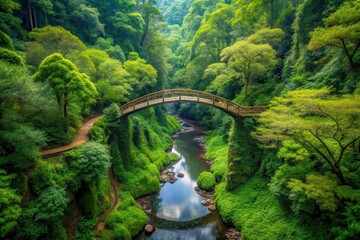 Fototapeta premium Serene arched bridge spanning a lush green valley, a tranquil river meanders below, surrounded by vibrant foliage and winding pathways