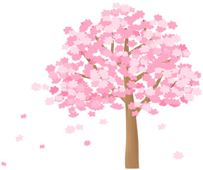 Obraz premium pink cherry blossom