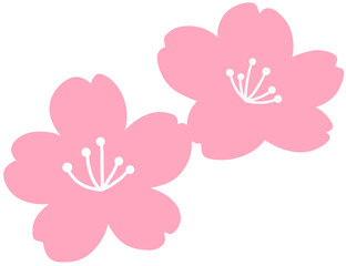 Fototapeta premium pink flower vector