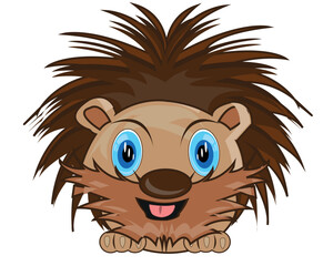 Obraz premium Wildlife porcupine on white background is insulated