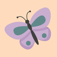 spring purple butterfly