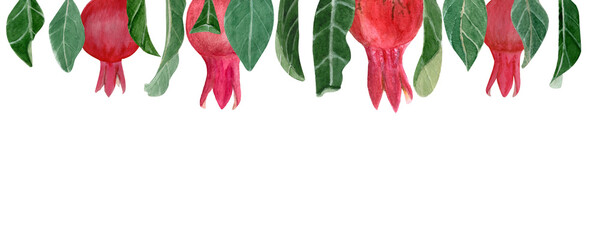 Four textured pomegranates with leaves watercolor border isolated on white. Hand drawn realistic bright fruits great for fall harvest cards, culinary designs, prints, banners decor. Autumn clip art