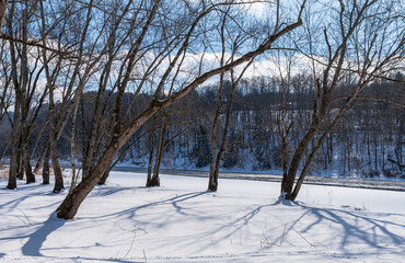 Bare trees on a snowy day next to a partially frozen Allegheny River in Tidioute, Pennsylvania, USA on a sunny winter day