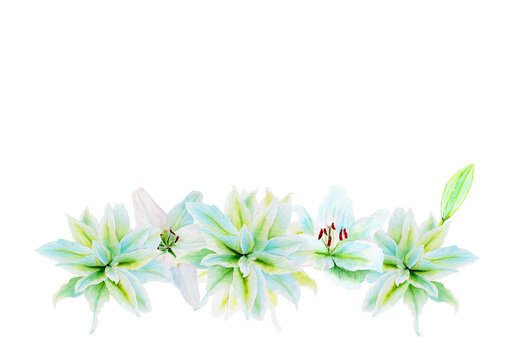 White lily flower garland watercolor illustration isolated on white. High quality clip art perfect for cards, posters, stickers, Easter, Passover, Holy Thursday, christening baptism wedding church