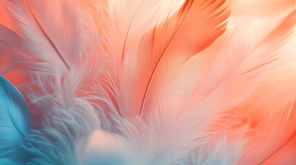 Obraz premium A close up of colorful feathers of soft texture is presented