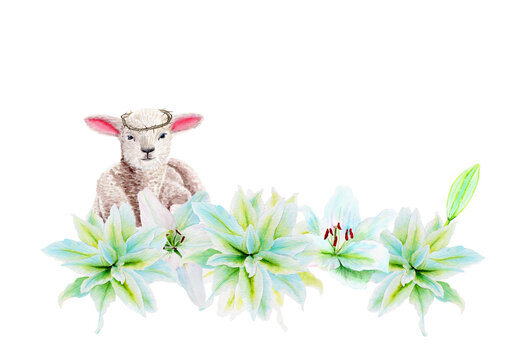 Lamb in crown of thorns with white lily garland watercolor composition isolated on white. Illustration perfect for cards for Easter, Holy Thursday, christening baptism, christening invitations decor