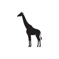 Fototapeta premium giraffe vector illustration with editable strokes and shape