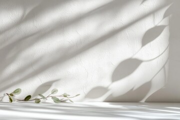 Minimalist Abstract Background for Product Display with Soft Plant Shadows on White Wall
