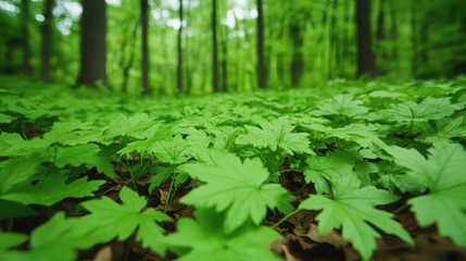 Fototapeta premium Cozy Cartoon Forest Scene with Lush Green Floor and Playful Atmosphere
