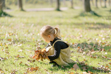 Little girl collects a bouquet of fallen leaves while squatting on a sunny lawn. Side view